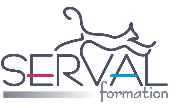 logoFormation